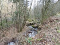 Sortie Phalsbourg CV Wingen 28 02 2016 (36)